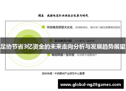 足协节省3亿资金的未来走向分析与发展趋势展望