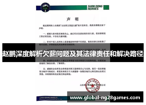 赵鹏深度解析欠薪问题及其法律责任和解决路径