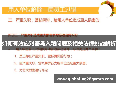 如何有效应对塞鸟入籍问题及相关法律挑战解析