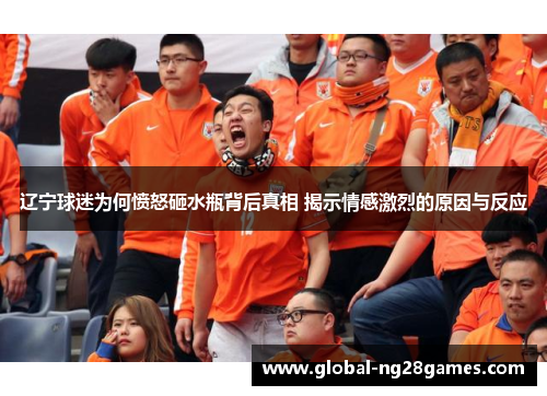 辽宁球迷为何愤怒砸水瓶背后真相 揭示情感激烈的原因与反应