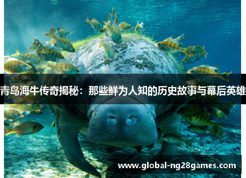 青岛海牛传奇揭秘：那些鲜为人知的历史故事与幕后英雄