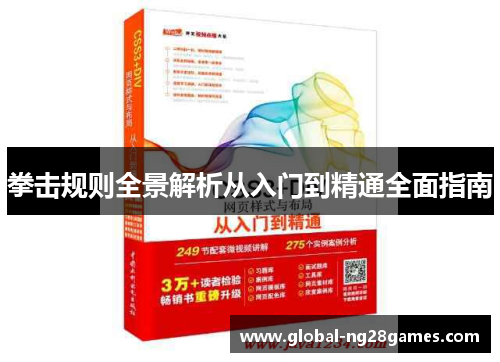 拳击规则全景解析从入门到精通全面指南