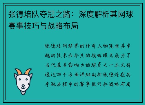 张德培队夺冠之路：深度解析其网球赛事技巧与战略布局